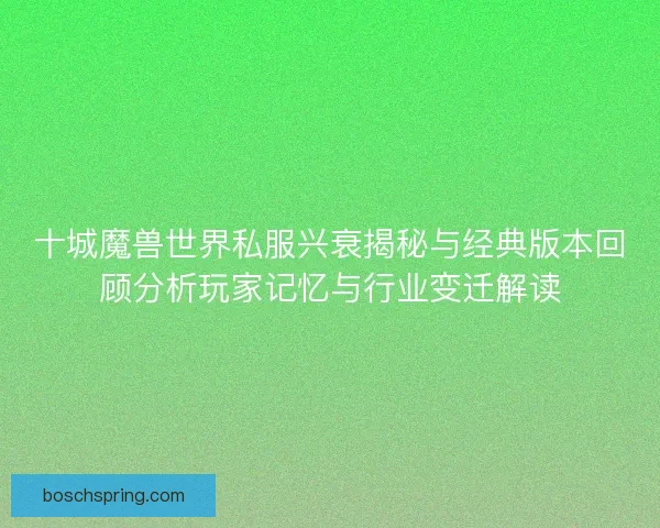 十城魔兽世界私服兴衰揭秘与经典版本回顾分析玩家记忆与行业变迁解读
